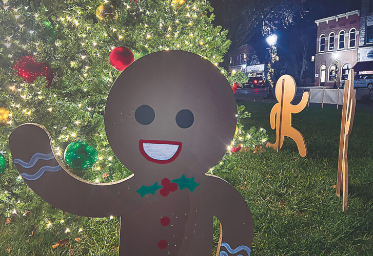 Spirit of the season: 200 block Front Street, Marietta